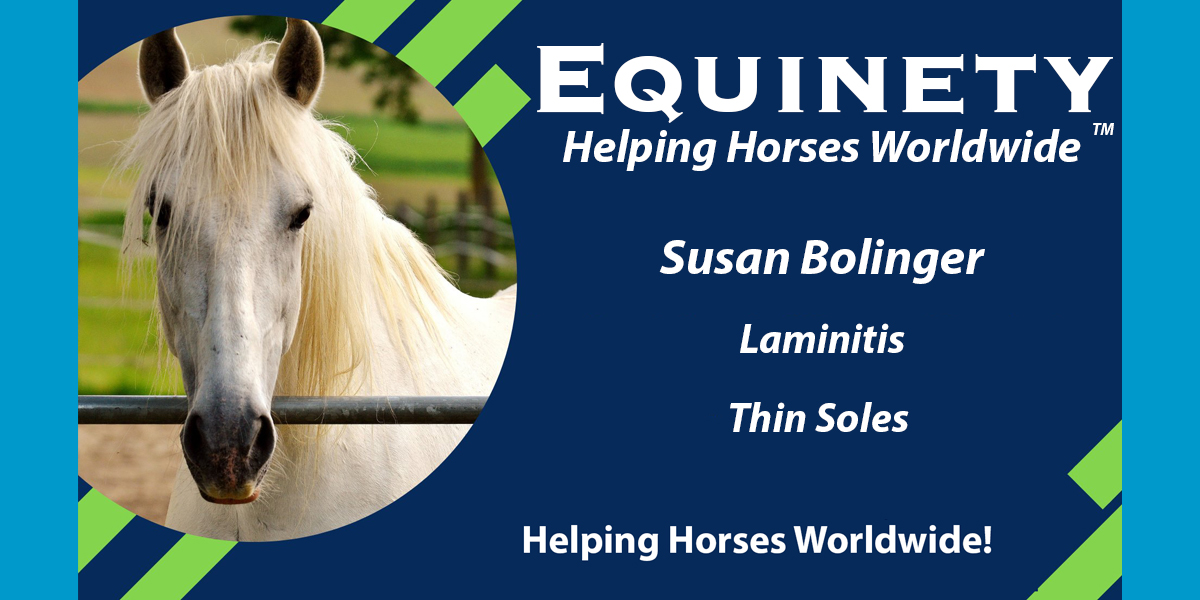 Susan Bolinger Laminitis Thin Soles